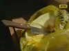 Вбивць продавця кавунів з траси Київ-Одеса затримали