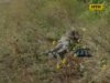 На Вінничині старенького вбили заради автівки