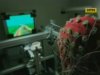 Видеоигры для развития мозга