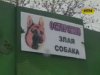 У Краматорську бродячі собаки загризли жінку