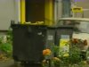 На столичную помойку выбросили задушенного младенца