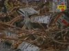 В Николаеве грабитель целую ночь держал в заложниках женщину