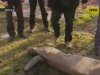 В Мариуполе пьянчуги насмерть забили приятеля