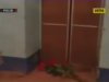 Під Москвою ліфт вбив жінку