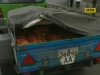 В Киеве ловили наглого похитителя лука