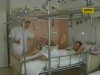 Польща лікує поранених Майдану
