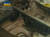 По вине газовой службы произошел пожар в Ровно
