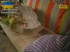 На Харківщині молодик угнав авто, аби поїхати з місця вбивства