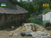 Шекспировские страсти на Ровенщине