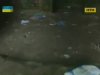 На Житомирщині колишній однокласник по-звірячому вбив вагітну жінку