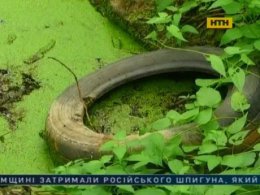 На Сумщині в болоті утопився 8-річний хлопчик