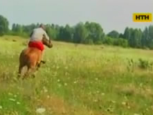 Національний бізнес - на Сумщині викрали коней