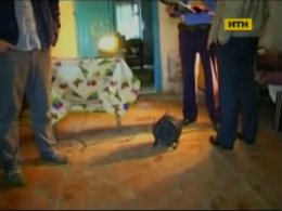 Результат посиденьок братів - вбивство та самогубство