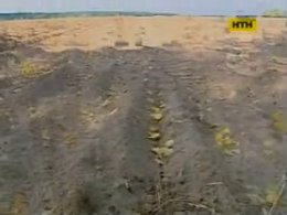 На картопляному полі під Києвом застрелили двох жінок