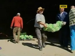 На Київщині зеки вирощують овочі для вояків і мріють захищати Батьківщину