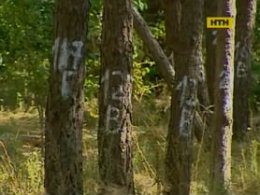 Киевляне спасают лес от застройки
