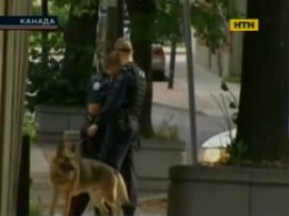 Інтернет-конфлікт спричинив стрілянину в Канаді