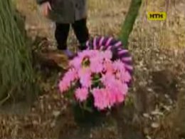 На Сумщині розшукують нелюда, котрий залишив замерзати зв'язану жінку