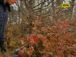 У Шепетівці цілу ніч шукали заблукалу дитину
