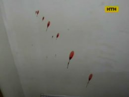Криваві "доньки-матері" у Нікополі
