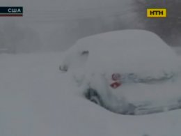 Нью-Йорк замело снігом