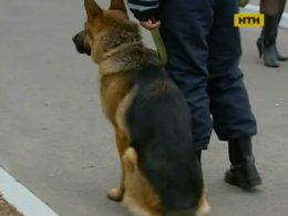 Киевское метро будут патрулировать служебные собаки