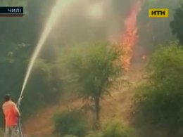 Разрушительные лесные пожары в Чили