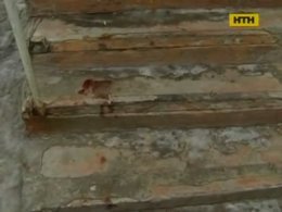 Безглузде вбивство на Сумщині