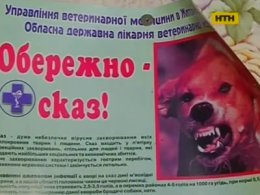 Спалах сказу на Житомирщині