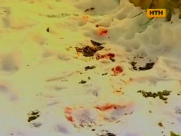 Під Харковом дівчинка загинула під час гри в сніжки