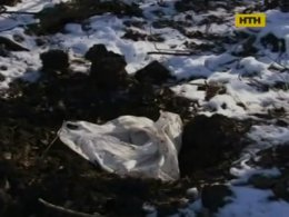 На Житомирщині породілля закопала живе немовля
