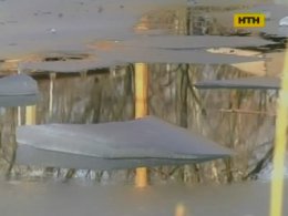Четверо людей врятували з ополонки в Запоріжжі