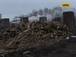 В Черкасской области нелегальное предприятие депутата отравляет воздух