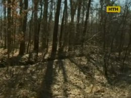На Житомирщине жестоко убили лесника