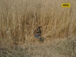 У Кривому Розі розкрили жорстоке вбивство лихваря