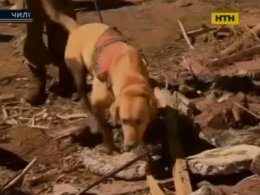 Більшає жертв повені в Чилі