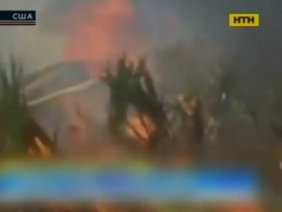У Флориді розбився приватний літак