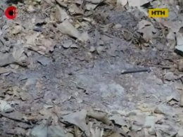 На Черкащині матір-сектантка вбила рідну доньку