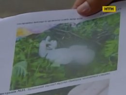 Мешканка Київщини втопила новонародженого