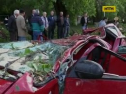 У столиці дужий вітер та дерева відібрали два життя
