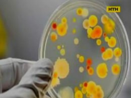 Літо - пора кишкових інфекцій