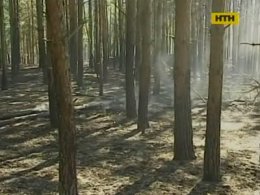 Навколо Києва горять торфовища та ліси