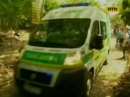 В Тбилиси тигр набросился на людей