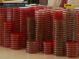 Коронавірус МЕРС крокує по планеті