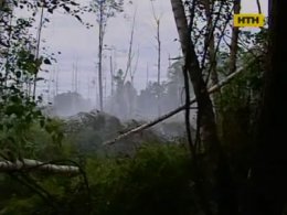 На Киевщине лесной пожар подступил к домам