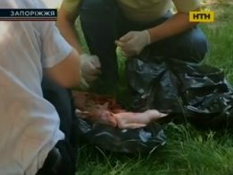В Запорожье нашли в помойке мертвого младенца
