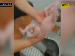 У Китаї немовля викинули до вбиральні