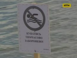 Лептоспіроз у столичних озерах не знайшли, але є інші небезпеки