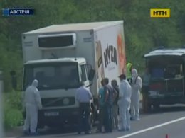 Нелегальный перевозчик убил 50 мигрантов в Австрии
