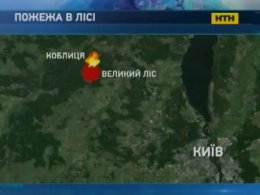 На Киевщине третьи сутки тушат лесной пожар